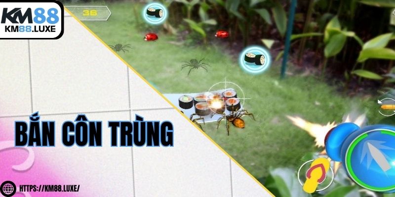 Bắn côn trùng - Trải nghiệm thú vị trong game bắn cá hấp dẫn
