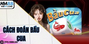 Cách đoán bầu cua hiệu quả giúp bạn dễ dàng thắng cuộc
