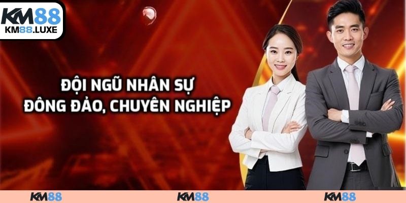 Nhân sự chất lượng cao