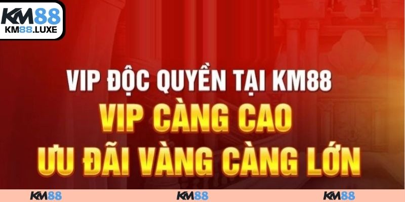 Khuyến mãi KM88 cho hội viên trung thành